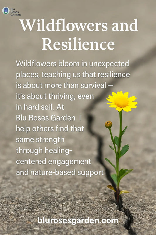 What Wildflowers Teach Us About Resilience - 💙 Blu Rose's Garden LLC 💙