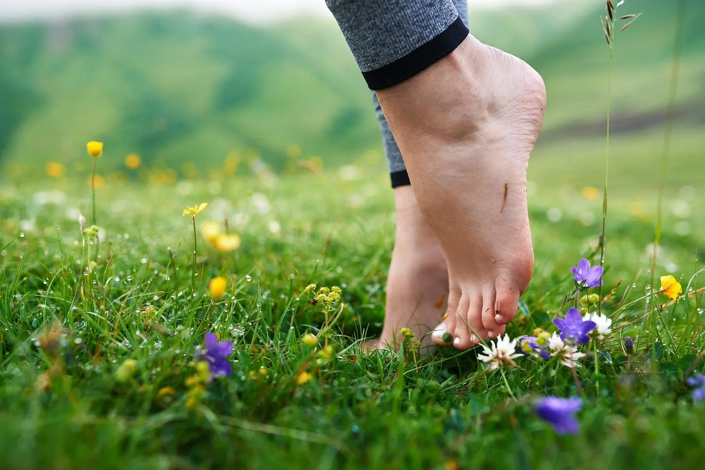 Book Now: Barefoot Walking Sessions π Blu Rose's Garden LLC π