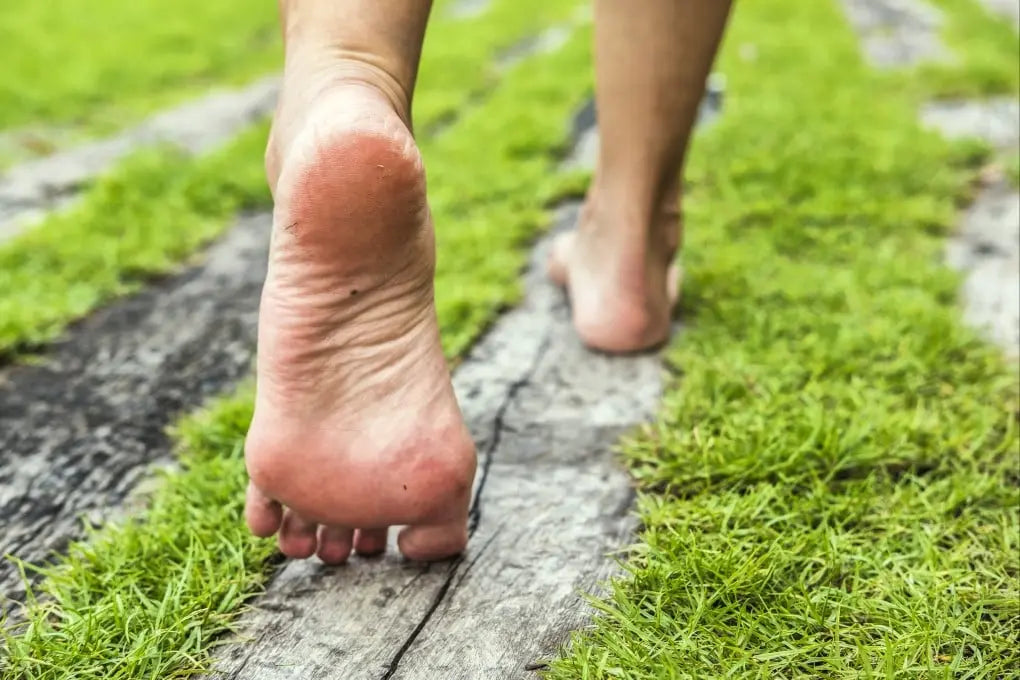 Book Now: Barefoot Walking Sessions π Blu Rose's Garden LLC π