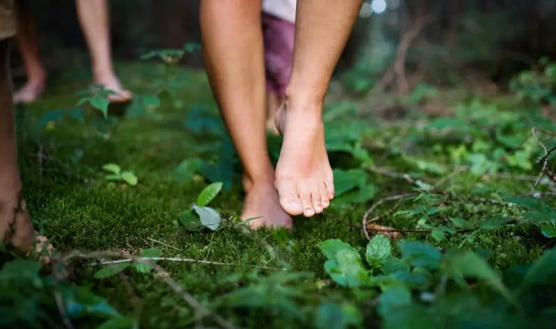 Book Now: Barefoot Walking Sessions π Blu Rose's Garden LLC π