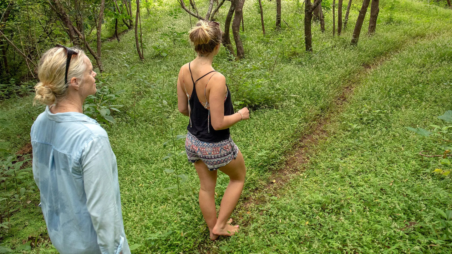 Book Now: Barefoot Walking Sessions π Blu Rose's Garden LLC π