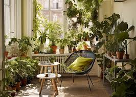 Book Now: Bring Serenity to Your Indoor Spaces đź’™ Blu Rose's Garden LLC đź’™