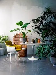 Book Now: Bring Serenity to Your Indoor Spaces đź’™ Blu Rose's Garden LLC đź’™