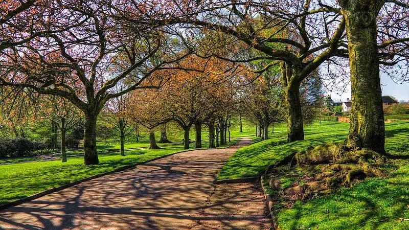 Book Now: Nature Escape Personalized Wellness Walks π Blu Rose's Garden LLC π