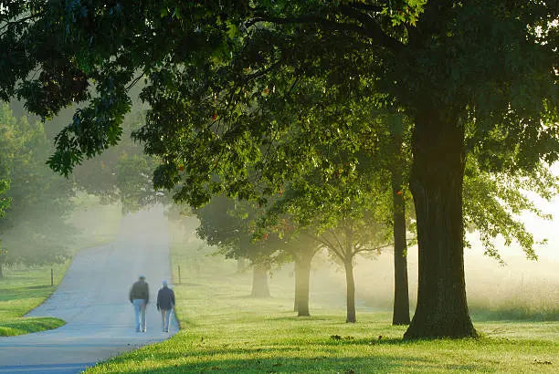 Book Now: Nature Escape Personalized Wellness Walks π Blu Rose's Garden LLC π