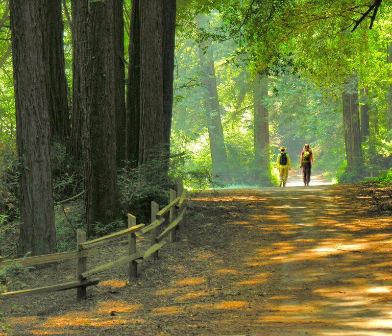 Book Now: Nature Escape Personalized Wellness Walks π Blu Rose's Garden LLC π