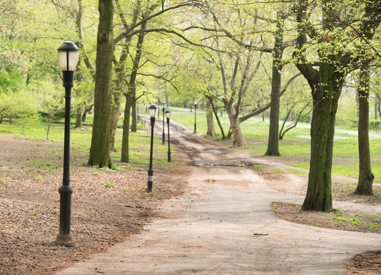 Book Now: Nature Escape Personalized Wellness Walks ๐ Blu Rose's Garden LLC ๐