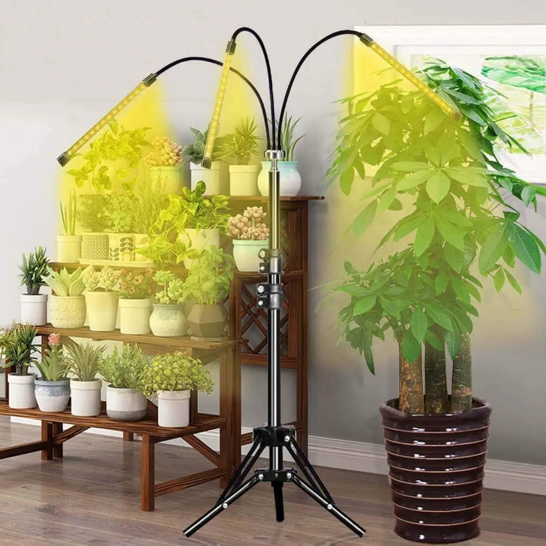 Grow Light, LED Grow Lights for Indoor Plants Full Spectrum 60W Plant Light Adjustable Tripod Stand with Timer Tri-Head Plant Lights