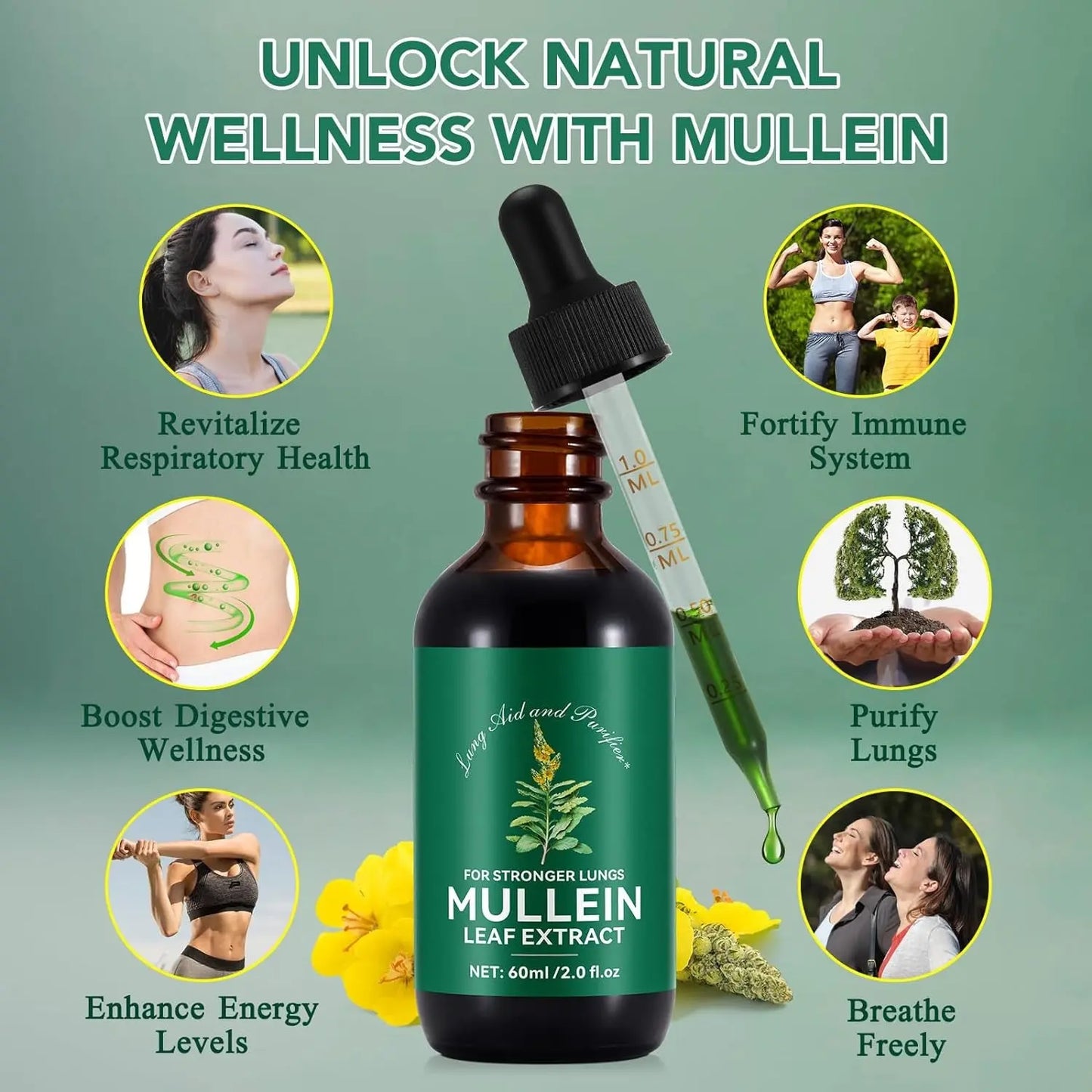 Mullein Drops for Lungs 2 Fl Oz, Natural Mullein Leaf Drops, Fast Absorption...