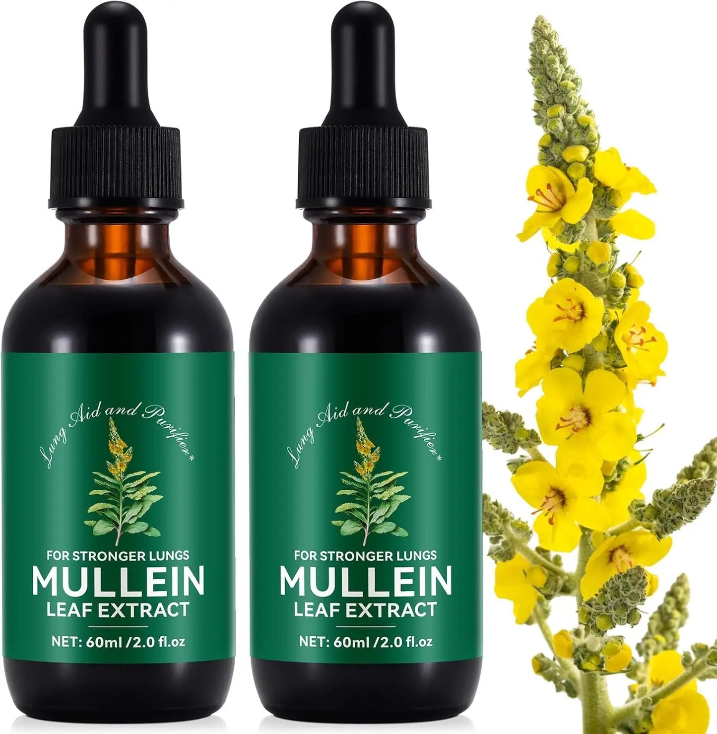 Mullein Drops for Lungs 2 Fl Oz, Natural Mullein Leaf Drops, Fast Absorption...