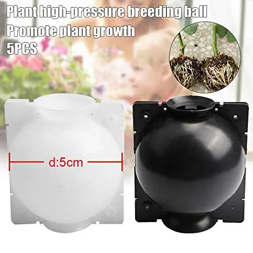 10 PCS Plant Rooting Ball Reusable Plant Rooting Device High Pressure Propagation Ball High Pressure Box Grafting for Various Plants - π Blu Rose's Garden LLC π