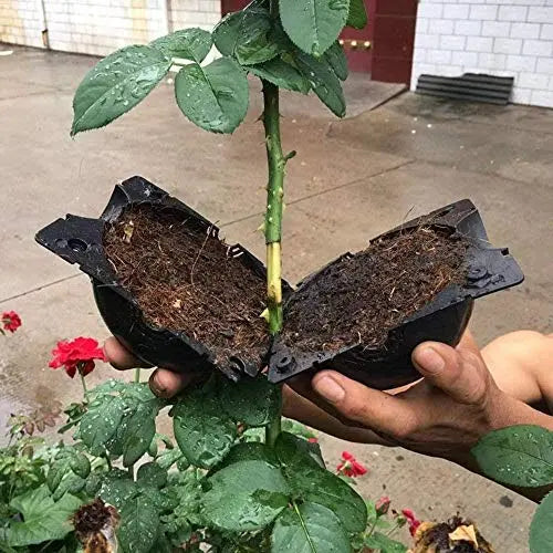 10 PCS Plant Rooting Ball Reusable Plant Rooting Device High Pressure Propagation Ball High Pressure Box Grafting for Various Plants - π Blu Rose's Garden LLC π
