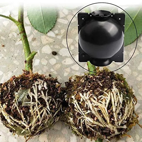 10 PCS Plant Rooting Ball Reusable Plant Rooting Device High Pressure Propagation Ball High Pressure Box Grafting for Various Plants - π Blu Rose's Garden LLC π