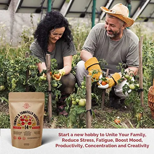 14 Rare Tomato & Tomatillo Garden Seeds Variety Pack for Planting Outdoors & Indoor Home Gardening 800+ Non-GMO Heirloom Tomato & Tomatillo Seeds: Beefsteak, Roma, Pear, Thai, Cherry Tomatoes & More - 💙 Blu Rose's Garden LLC 💙