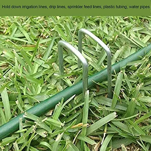 AAGUT Garden Stakes Pins, Landscape Staples 200 Pack 6 Inch 11-Gauge Galvanized Lawn Stake for Dog Fence, Weed Barrier Fabric, Ground Cover, Irrigation Tubing Soaker Hose, Chicken Wire - π Blu Rose's Garden LLC π