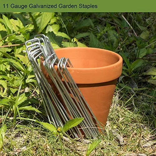 AAGUT Garden Stakes Pins, Landscape Staples 200 Pack 6 Inch 11-Gauge Galvanized Lawn Stake for Dog Fence, Weed Barrier Fabric, Ground Cover, Irrigation Tubing Soaker Hose, Chicken Wire - π Blu Rose's Garden LLC π