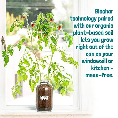 Back to the Roots Cherry Tomato Organic Windowsill Planter Kit - Grows Year Round, Includes Everything Needed For Planting - π Blu Rose's Garden LLC π