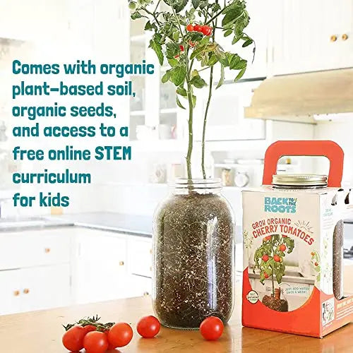Back to the Roots Cherry Tomato Organic Windowsill Planter Kit - Grows Year Round, Includes Everything Needed For Planting - π Blu Rose's Garden LLC π