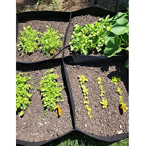 CJGQ Fabric Raised Garden Bed 6x3x1ft Garden Grow Bed Bags for Growing Herbs, Flowers and Vegetables 128 Gallon - π Blu Rose's Garden LLC π