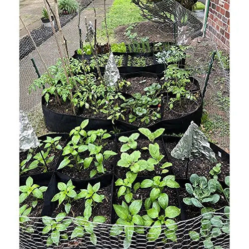 CJGQ Fabric Raised Garden Bed 6x3x1ft Garden Grow Bed Bags for Growing Herbs, Flowers and Vegetables 128 Gallon - π Blu Rose's Garden LLC π