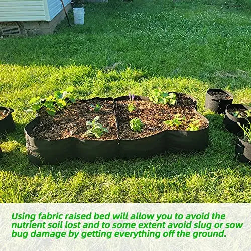 CJGQ Fabric Raised Garden Bed 6x3x1ft Garden Grow Bed Bags for Growing Herbs, Flowers and Vegetables 128 Gallon - π Blu Rose's Garden LLC π