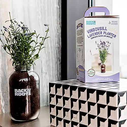 Back to the Roots Lavender Organic Windowsill Planter Kit - Grows Year Round, Includes Everything Needed for Planting - 💙 Blu Rose's Garden LLC 💙