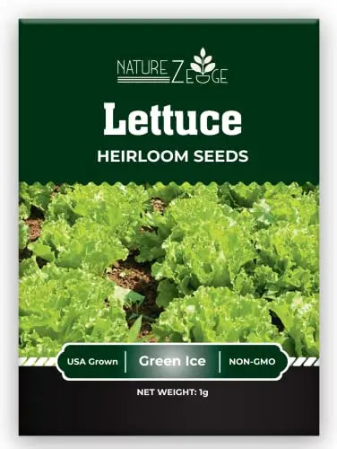 Lettuce Seeds for Planting, Red Romaine Lettuce, Bibb Butter Lettuce, Black Seeded Simpson, Green Ice Iceberg Lettuce, Non-GMOβ¦ - π Blu Rose's Garden LLC π