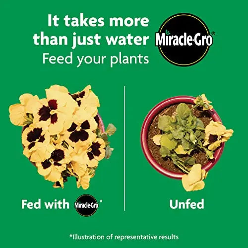 Miracle-Gro Shake 'N Feed All Purpose Plant Food, Plant Fertilizer, 4.5 lbs. - π Blu Rose's Garden LLC π