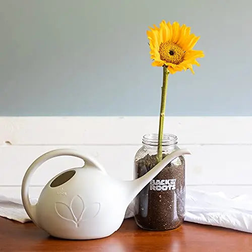 Back to the Roots Sunflower Organic Windowsill Planter Kit - Grows Year Round, Includes Everything Needed for Planting - π Blu Rose's Garden LLC π