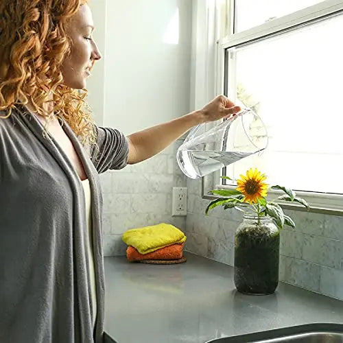 Back to the Roots Sunflower Organic Windowsill Planter Kit - Grows Year Round, Includes Everything Needed for Planting - π Blu Rose's Garden LLC π