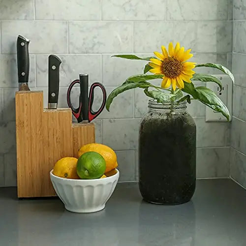 Back to the Roots Sunflower Organic Windowsill Planter Kit - Grows Year Round, Includes Everything Needed for Planting - π Blu Rose's Garden LLC π