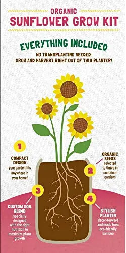 Back to the Roots Sunflower Organic Windowsill Planter Kit - Grows Year Round, Includes Everything Needed for Planting - π Blu Rose's Garden LLC π