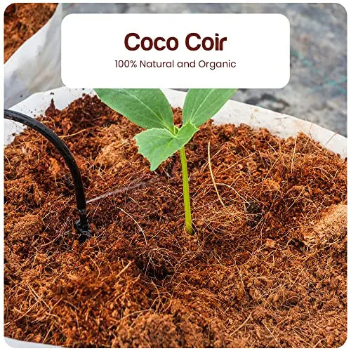 Premium Coco Coir Brick - 11 Pound / 5KG Coconut Coir - 100% Organic and Eco-Friendly - OMRI Listed - Natural Compressed Growing Medium - Potting Soil Substrate for Gardens, Seeds and Plants - π Blu Rose's Garden LLC π