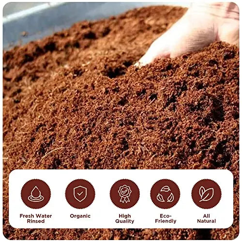 Premium Coco Coir Brick - 11 Pound / 5KG Coconut Coir - 100% Organic and Eco-Friendly - OMRI Listed - Natural Compressed Growing Medium - Potting Soil Substrate for Gardens, Seeds and Plants - π Blu Rose's Garden LLC π