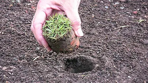 ProPlugger 5-in-1 Lawn and Garden Tool, Bulb Planter, Weeder or Weeding Tool, Sod Plugger, Annual Planter, Soil Test Probe - π Blu Rose's Garden LLC π