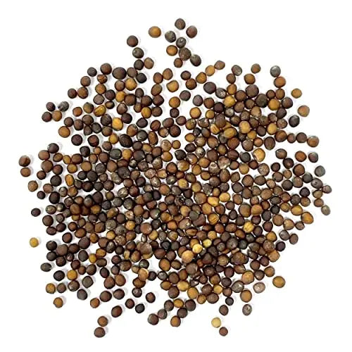 Purely Organic Products Purely Organic Heirloom Kale Seeds (Vates Blue Scotch Curled) - Approx 600 Seeds - π Blu Rose's Garden LLC π