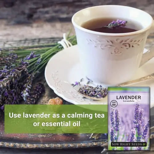 Sow Right Seeds - Lavender Seeds for Planting; Non-GMO Heirloom Seeds with Instructions to Plant and Grow a Beautiful Indoor or Outdoor herb Garden; Great Gardening Gift - π Blu Rose's Garden LLC π