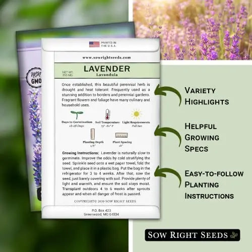 Sow Right Seeds - Lavender Seeds for Planting; Non-GMO Heirloom Seeds with Instructions to Plant and Grow a Beautiful Indoor or Outdoor herb Garden; Great Gardening Gift - π Blu Rose's Garden LLC π