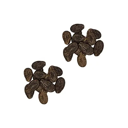Sweet Yards Seed Co. Organic Watermelon Seeds โMoon and Starsโ โ Two Seed Packets! โ Approx. 20 Open Pollinated Heirloom Non-GMO Seeds - ๐ Blu Rose's Garden LLC ๐