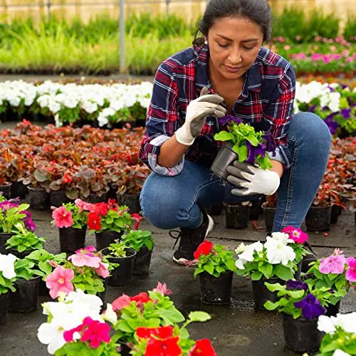 Whonline 40pcs 3/4/5/6 Inch Nursery Pots Variety Pack, Plastic Pots for Plants with Drainage Holes, Black Seedling Pots for Flower, Succulent, Indoor Plants and Outdoor Clearance - 💙 Blu Rose's Garden LLC 💙