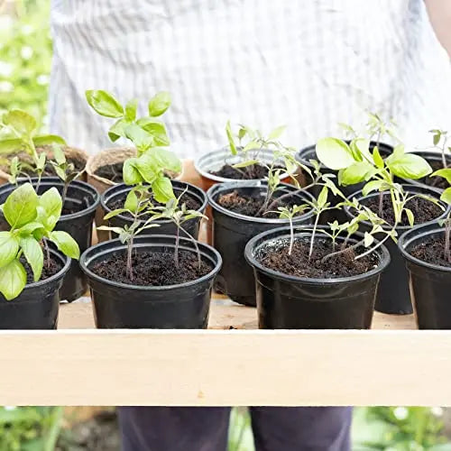 Whonline 40pcs 3/4/5/6 Inch Nursery Pots Variety Pack, Plastic Pots for Plants with Drainage Holes, Black Seedling Pots for Flower, Succulent, Indoor Plants and Outdoor Clearance - 💙 Blu Rose's Garden LLC 💙
