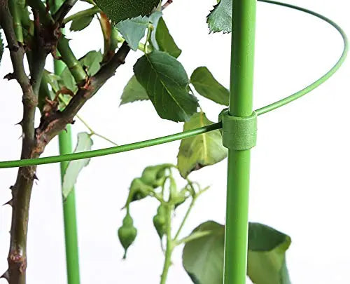 ZJIA 3 Pack Tomato Cages 18 inch Plant Support Cages Trellis for Garden, Cucumber Trellis Plant Stake with Adjustable Rings for Vegetables Flowers Fruit - π Blu Rose's Garden LLC π