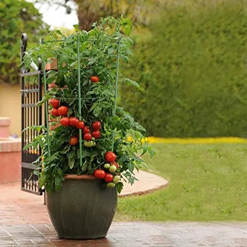 ZJIA 3 Pack Tomato Cages 18 inch Plant Support Cages Trellis for Garden, Cucumber Trellis Plant Stake with Adjustable Rings for Vegetables Flowers Fruit - π Blu Rose's Garden LLC π