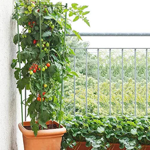 ZJIA 3 Pack Tomato Cages 18 inch Plant Support Cages Trellis for Garden, Cucumber Trellis Plant Stake with Adjustable Rings for Vegetables Flowers Fruit - π Blu Rose's Garden LLC π