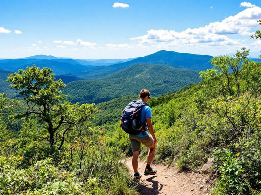 Discover-the-Best-Trail-Walkways-in-North-Carolina-A-Nature-Lover-s-Paradise 💙 Blu Rose's Garden LLC 💙 💙 Blu Rose's Garden LLC 💙