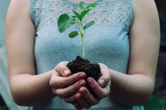 Healing-in-Nature-Trauma-Informed-Nature-Therapy-for-Survivors-of-Violence-in-the-Era-of-Climate-Change 💙 Blu Rose's Garden LLC 💙