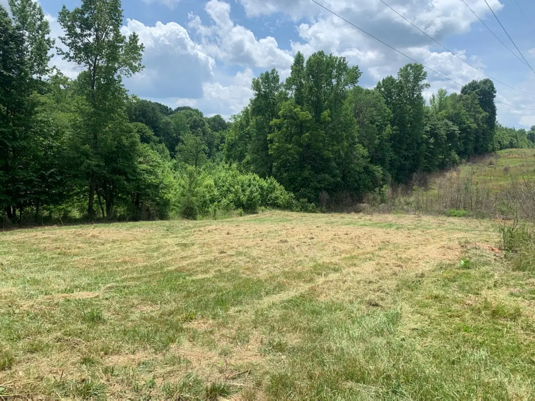 Inheriting-a-Dream-Transforming-34-Acres-into-a-Healing-Haven 💙 Blu Rose's Garden LLC 💙