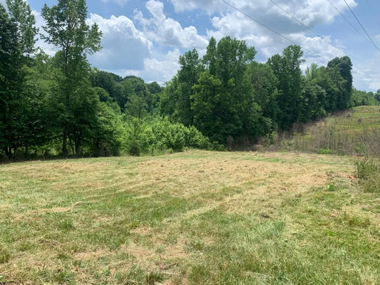 Inheriting-a-Dream-Transforming-34-Acres-into-a-Healing-Haven 💙 Blu Rose's Garden LLC 💙