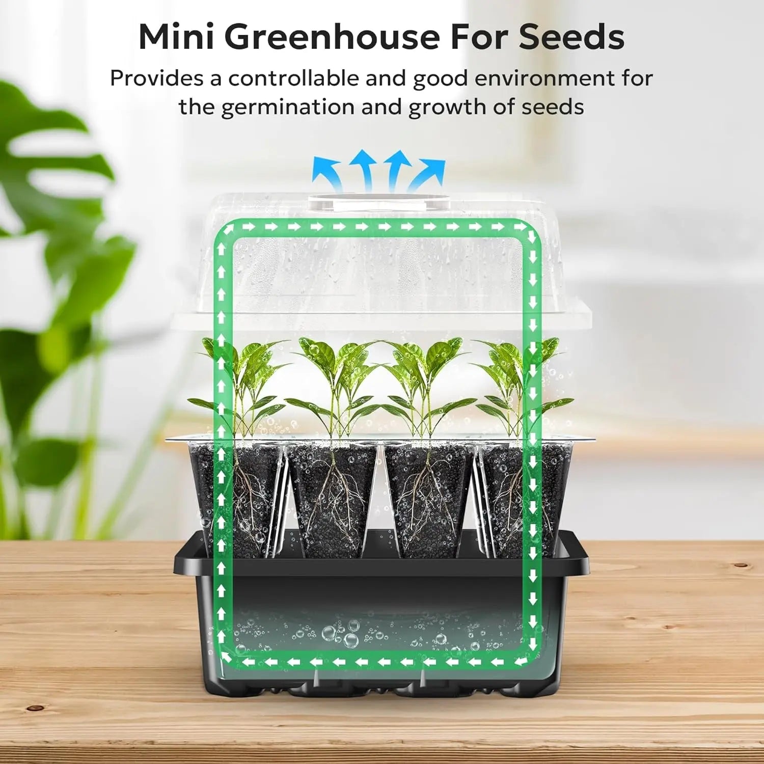 10 Packs Seed Starter Tray Seed Starter Kit with Humidity Dome (120 Cells Total Tray) Seed Starting Trays Plant Starter Kit and Base Mini Greenhouse Germination Kit for Seeds Growing Starting