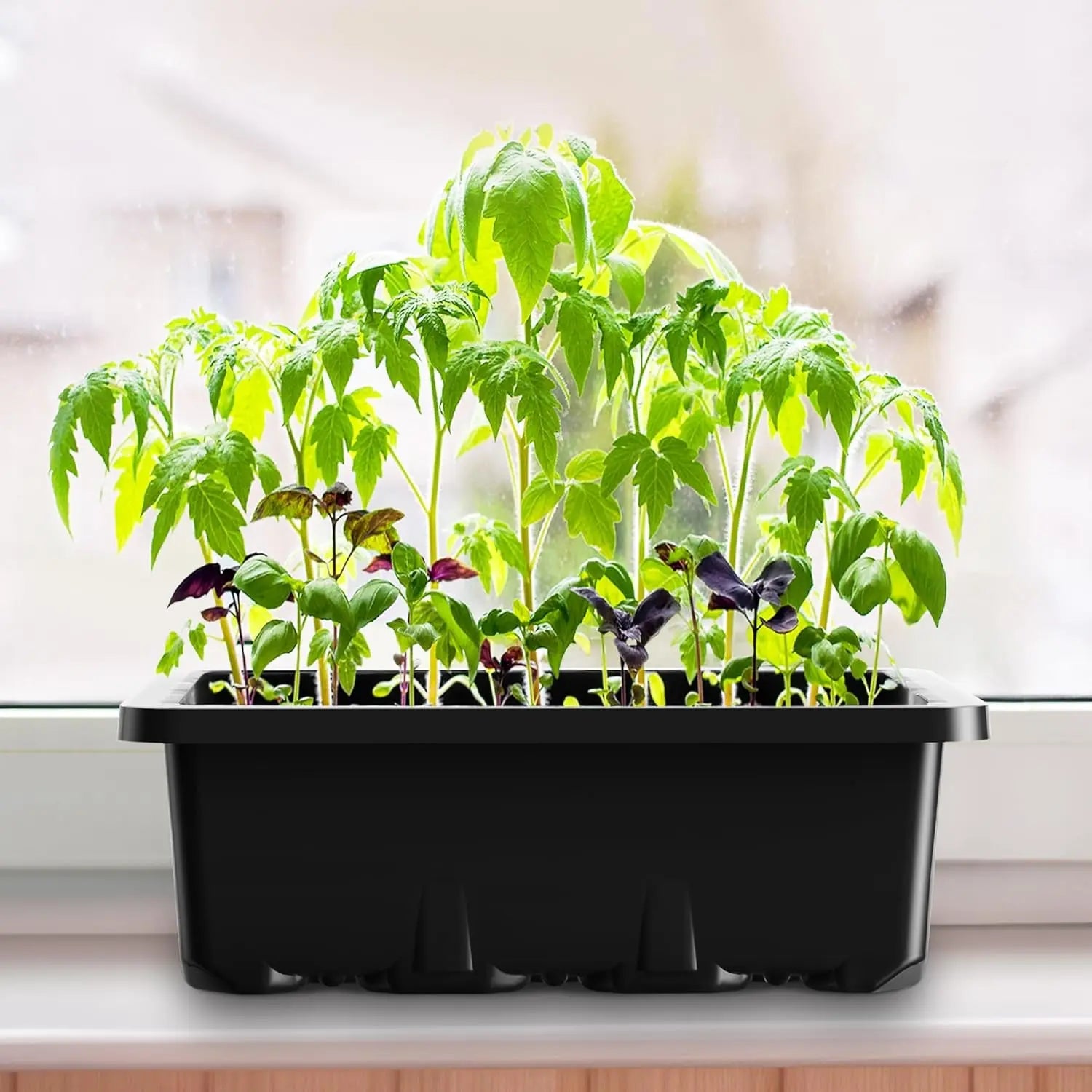 10 Packs Seed Starter Tray Seed Starter Kit with Humidity Dome (120 Cells Total Tray) Seed Starting Trays Plant Starter Kit and Base Mini Greenhouse Germination Kit for Seeds Growing Starting